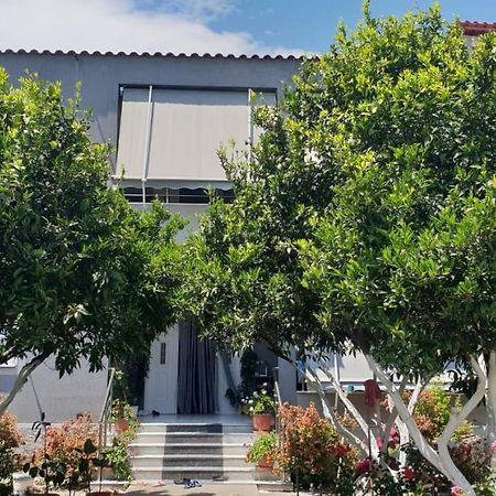 Guesthouse Anila Divjake Exteriér fotografie