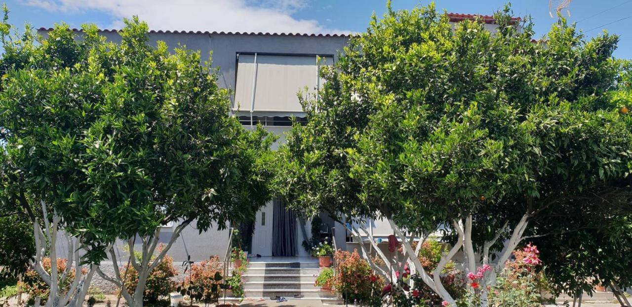Guesthouse Anila Divjake Exteriér fotografie