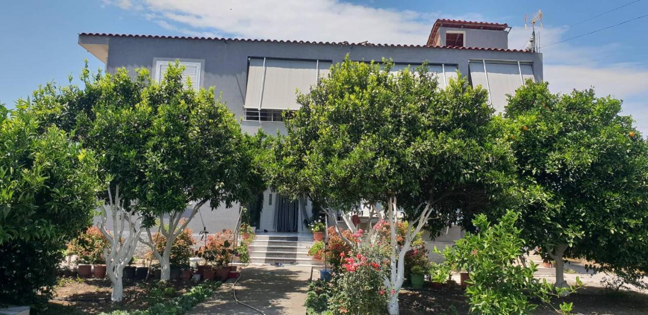 Guesthouse Anila Divjake Exteriér fotografie