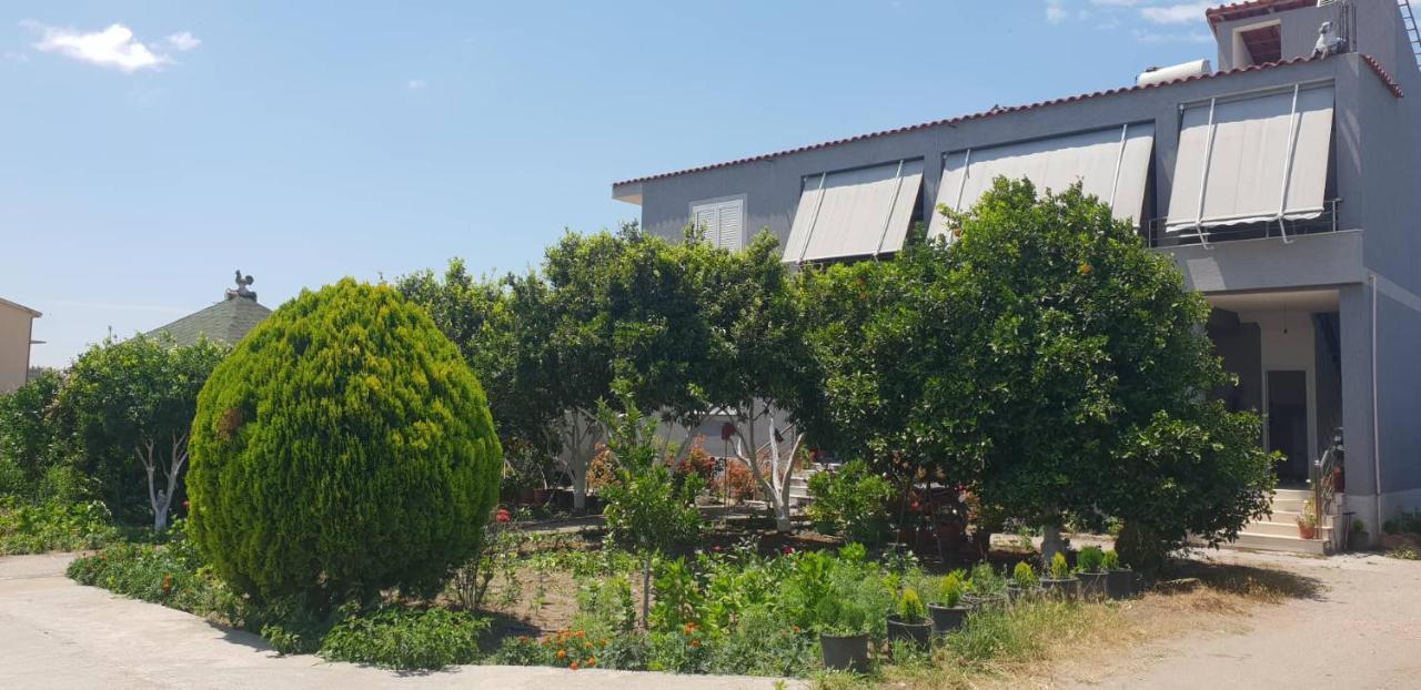 Guesthouse Anila Divjake Exteriér fotografie