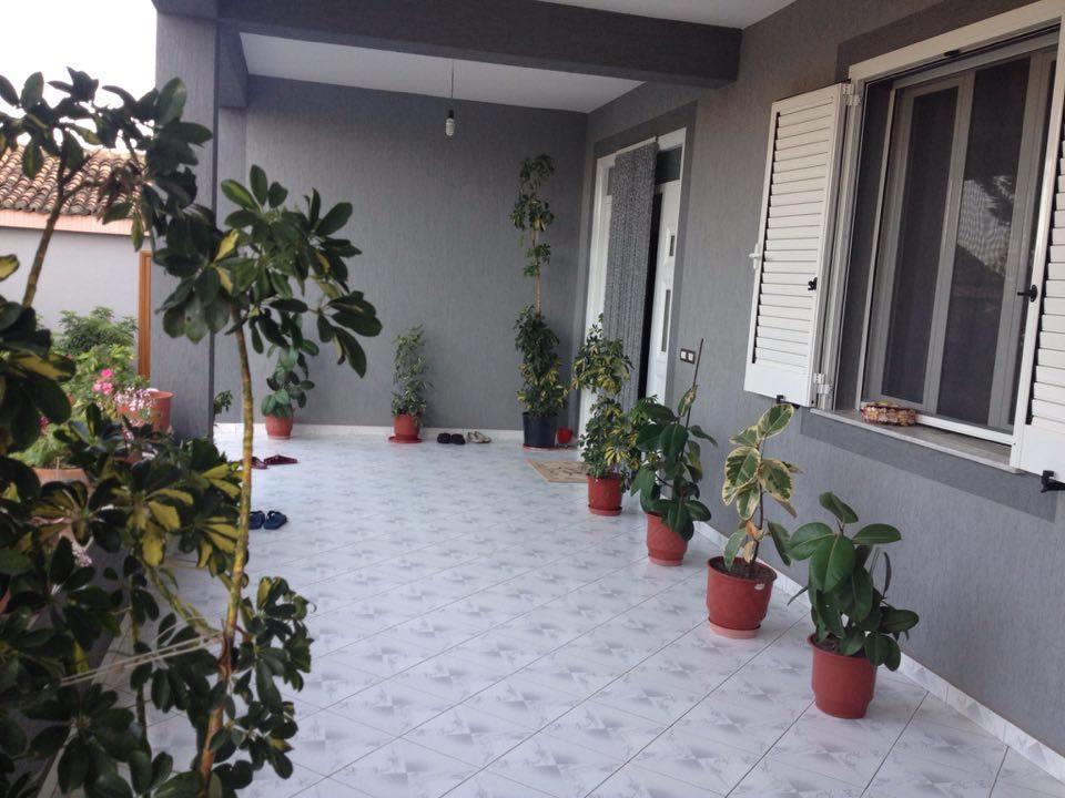 Guesthouse Anila Divjake Exteriér fotografie