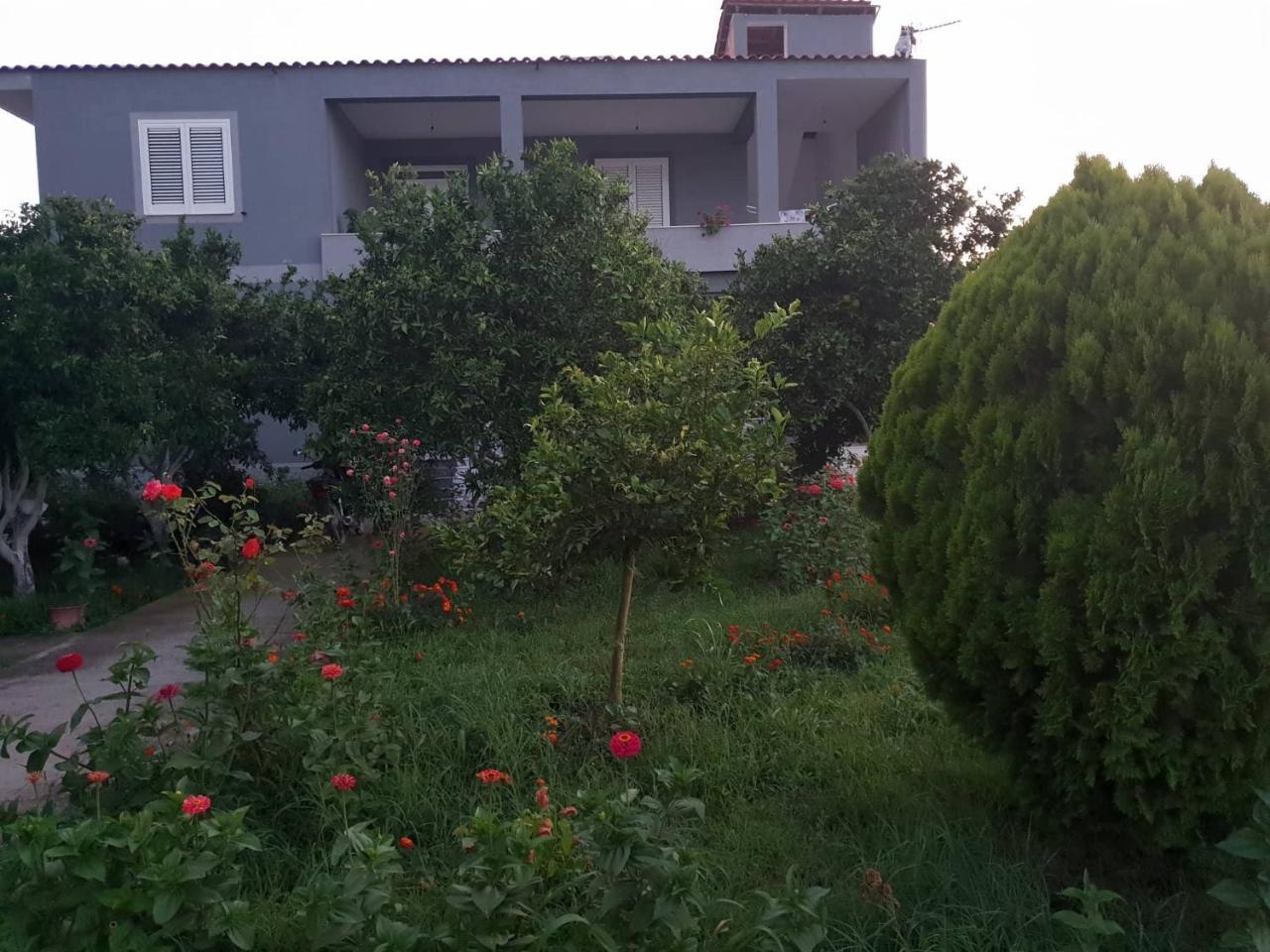 Guesthouse Anila Divjake Exteriér fotografie