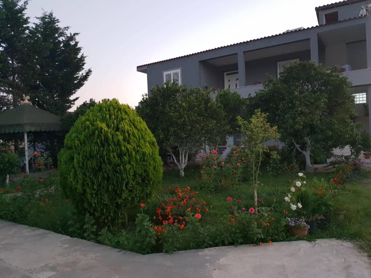 Guesthouse Anila Divjake Exteriér fotografie