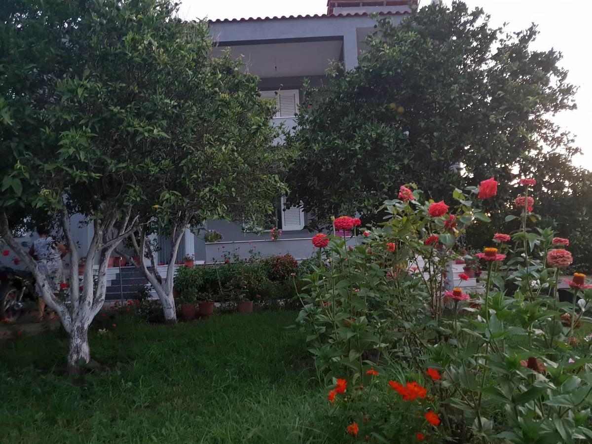 Guesthouse Anila Divjake Exteriér fotografie