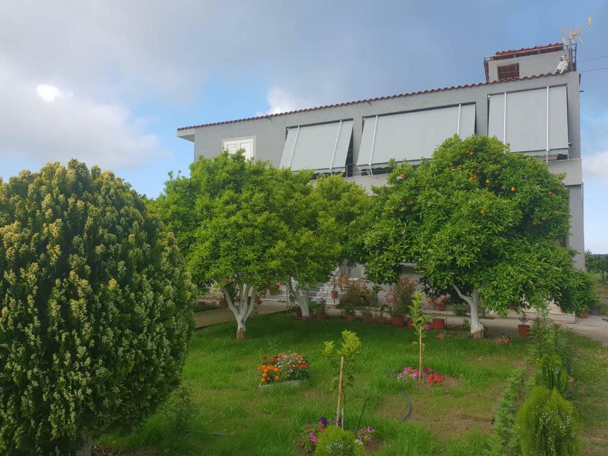 Guesthouse Anila Divjake Exteriér fotografie